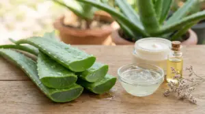 Fette di aloe vera fresche con gel, crema e olio su un tavolo di legno